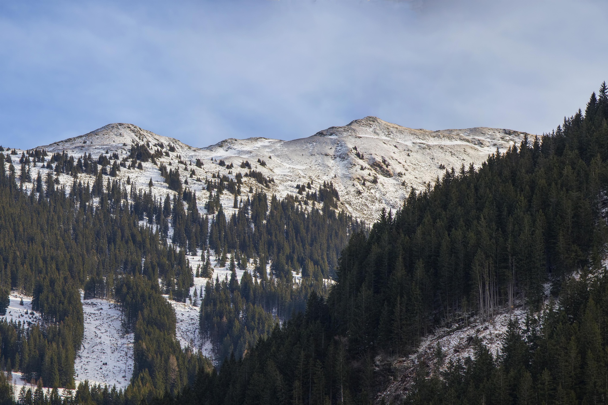 Alps.jpg
