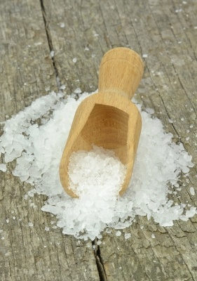 foto5.jpg