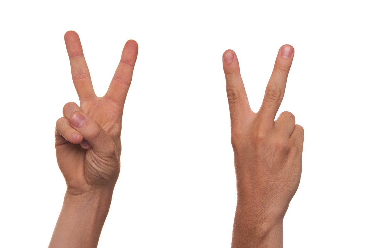 gesture-422566_1280.jpg