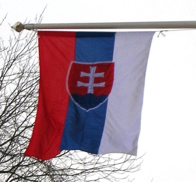 Wlf2.flag_of_slovakia_vertical_gabbe_jpg.jpg