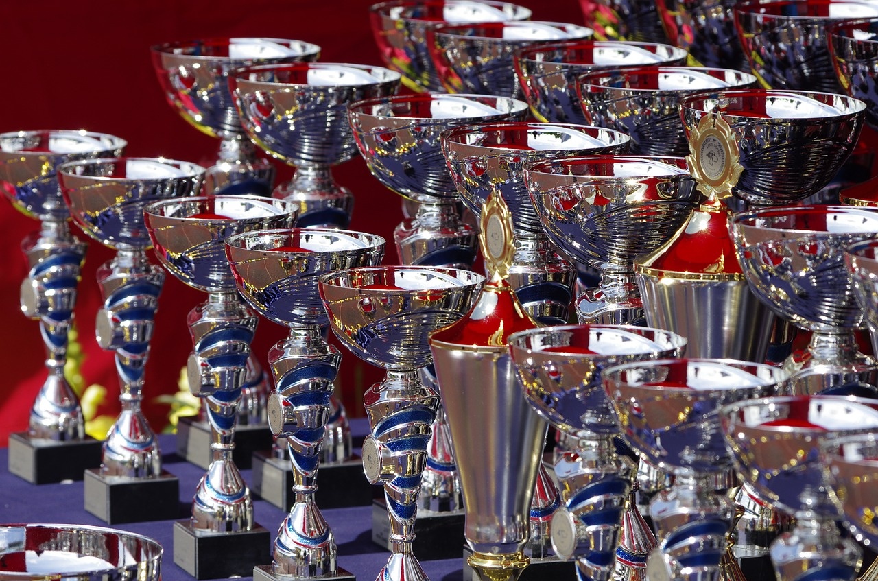 trophies-710169_1280.jpg