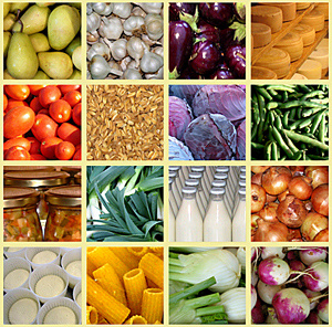 cibo.jpg