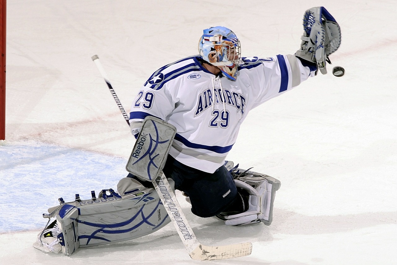 ice-hockey-583676_1280.jpg