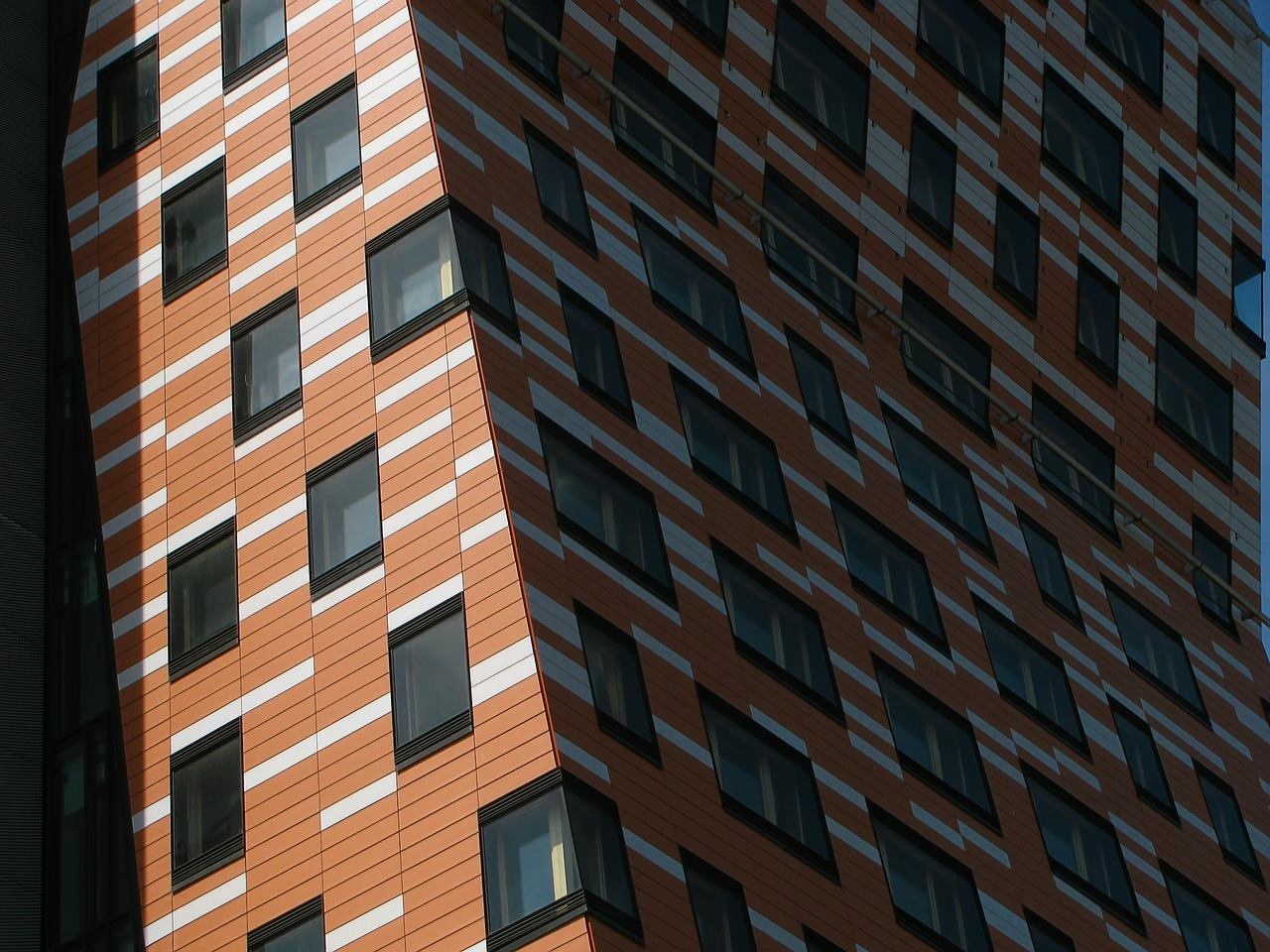 11900116_10207817936634928_4808738655485104260_o (1).jpg