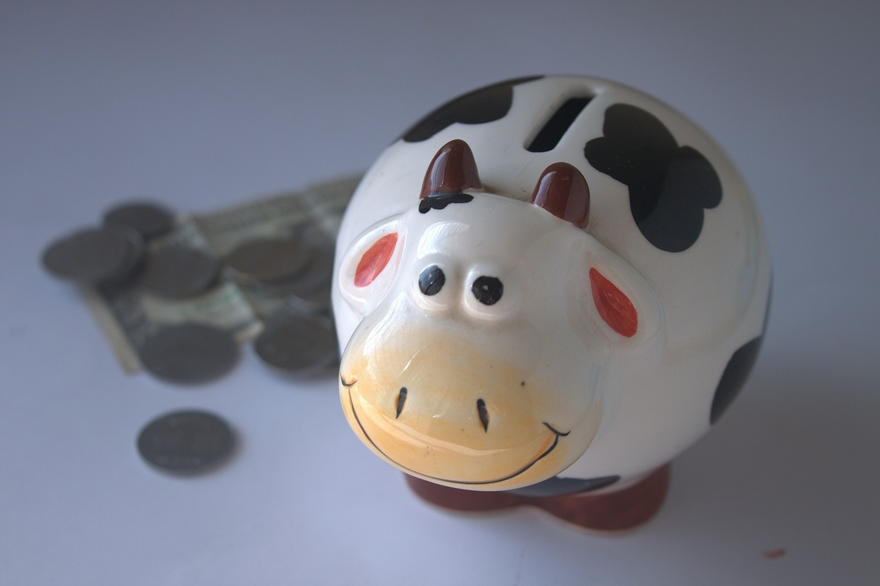piggy-bank-390528_1280.jpg