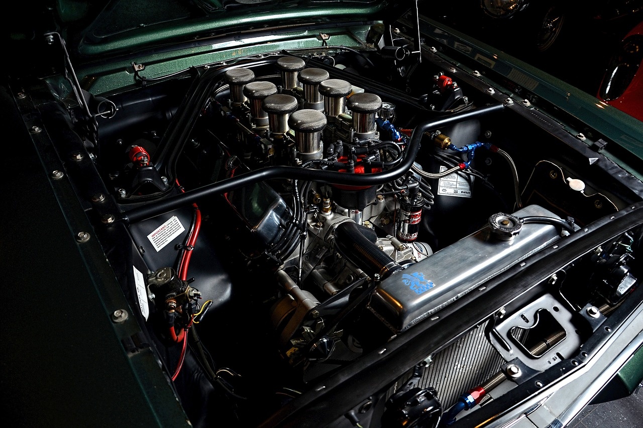 mustang-778263_1280.jpg