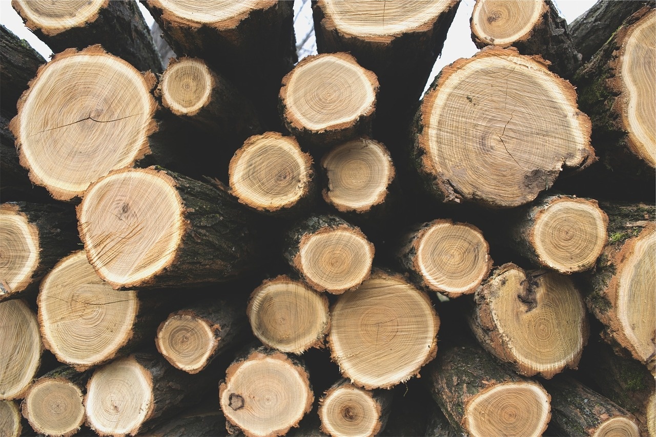 logs-690100_1280.jpg
