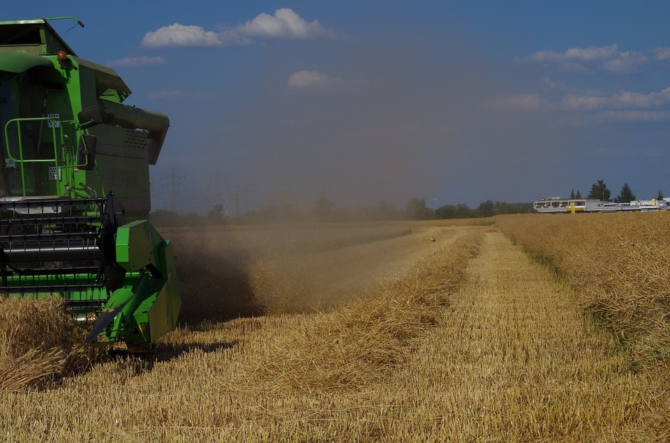 harvest-848047_960_720.jpg