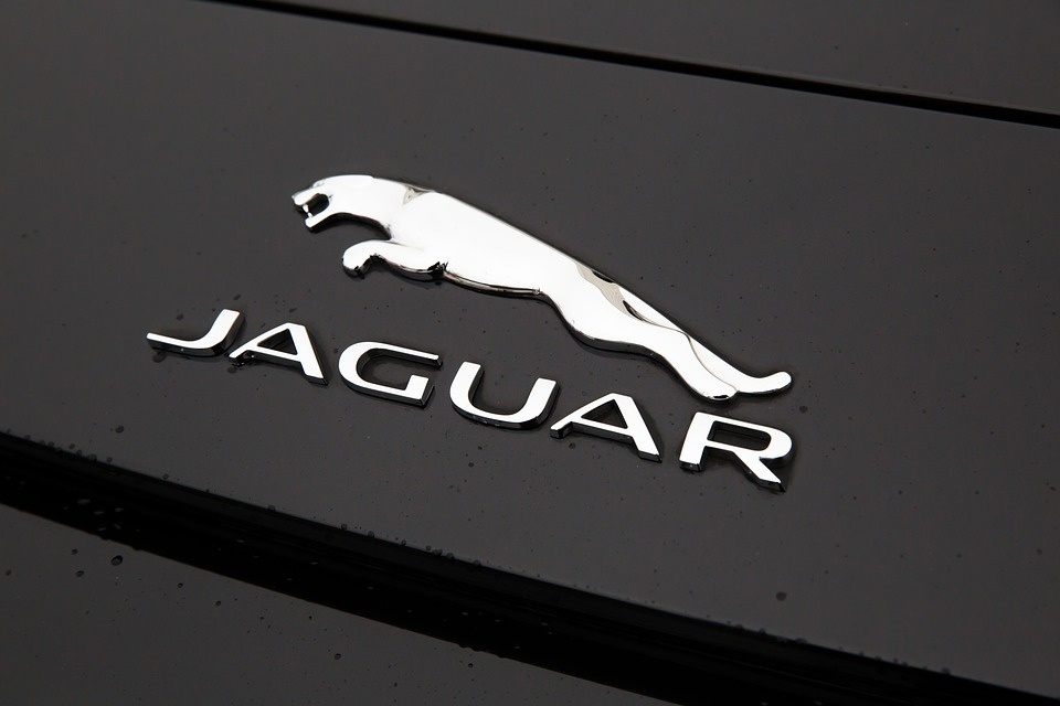 jaguar.jpg