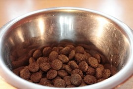 food-bowl-281978__180.jpg