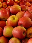 apple-5880__180.jpg