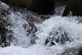 water-1317903__180.jpg