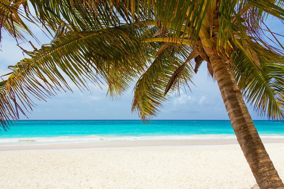 beach-84631_960_720.jpg