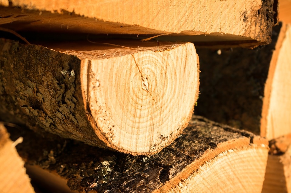 wood-1530296_960_720.jpg