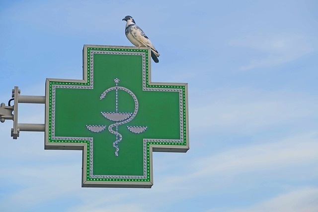 health.jpg