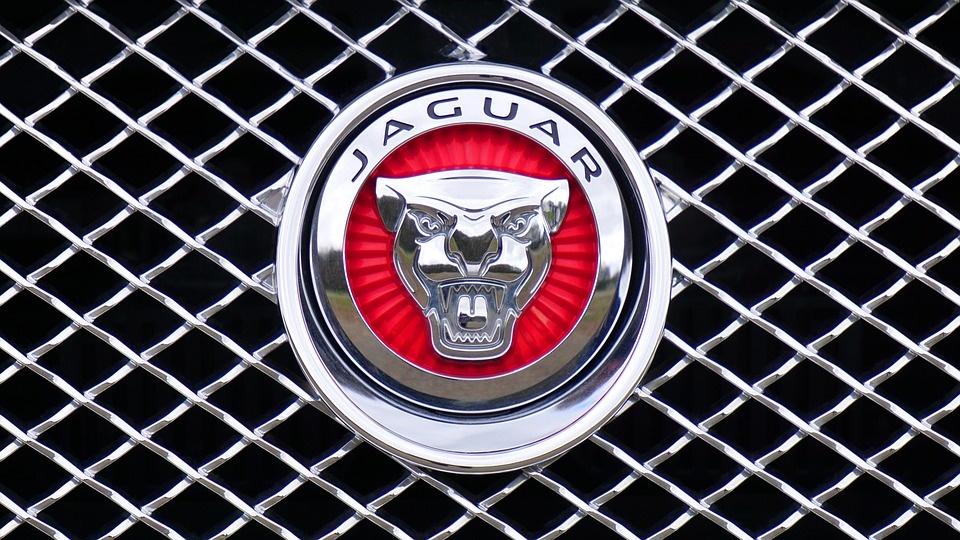 jaguar-1660955_960_720.jpg