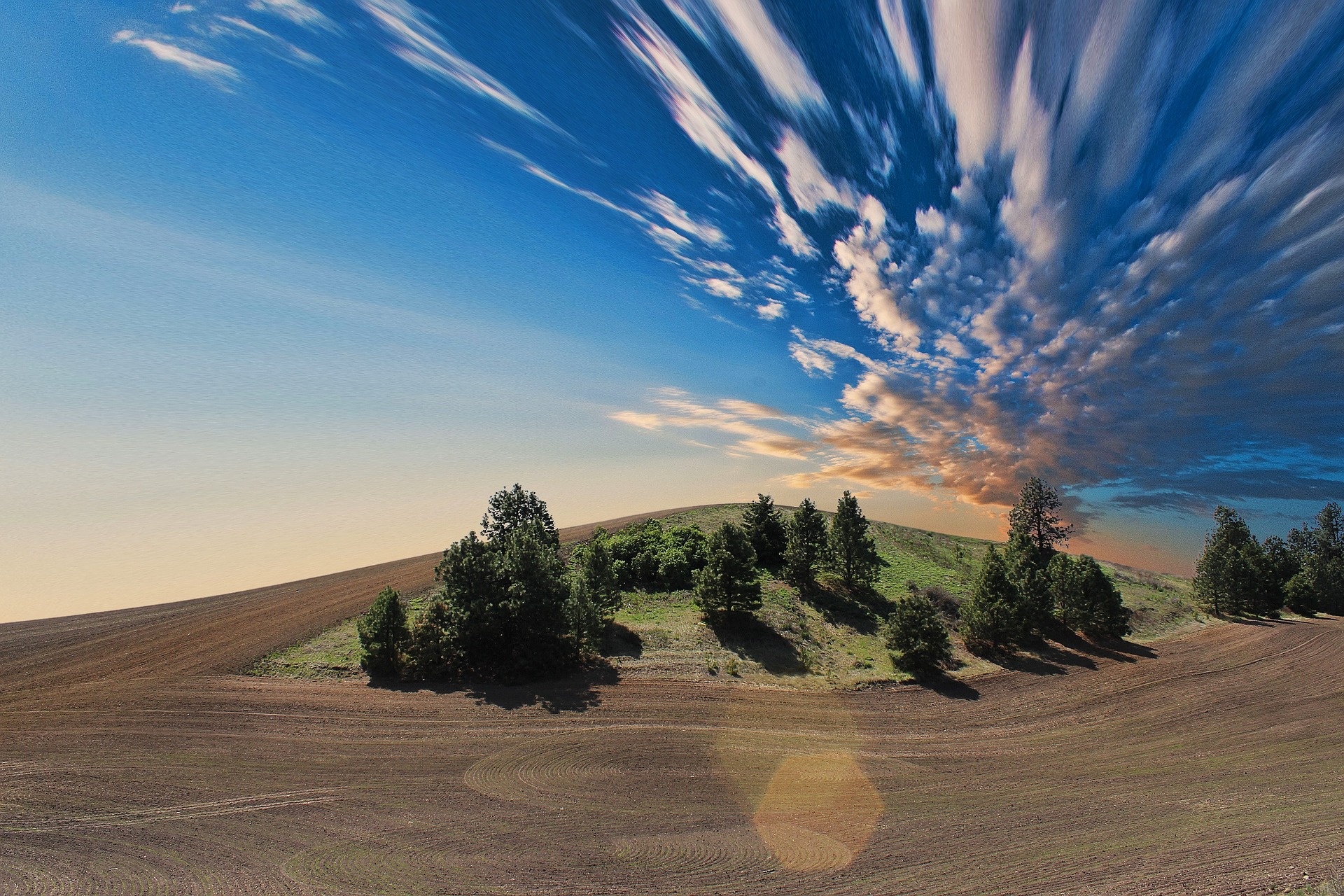 farmland-768603_1920.jpg