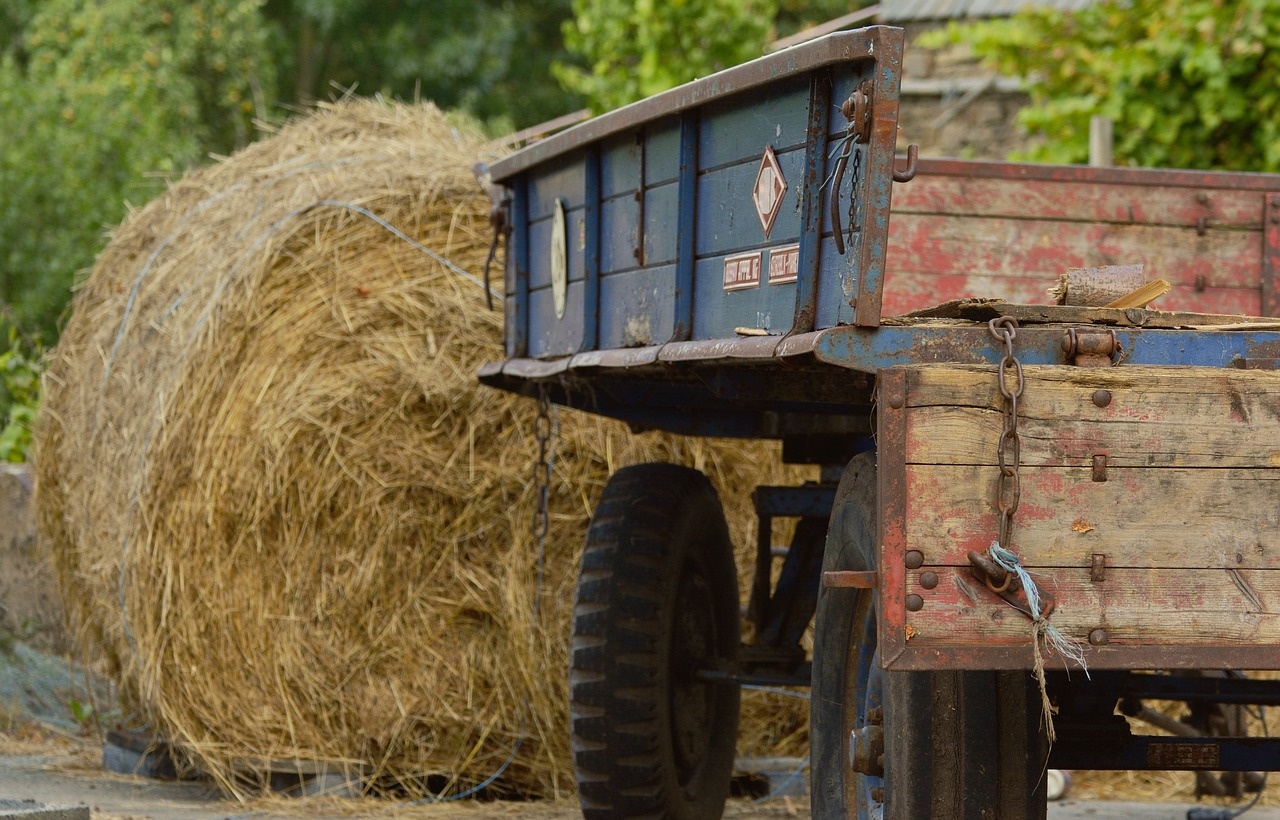 agriculture-1605643_1280.jpg