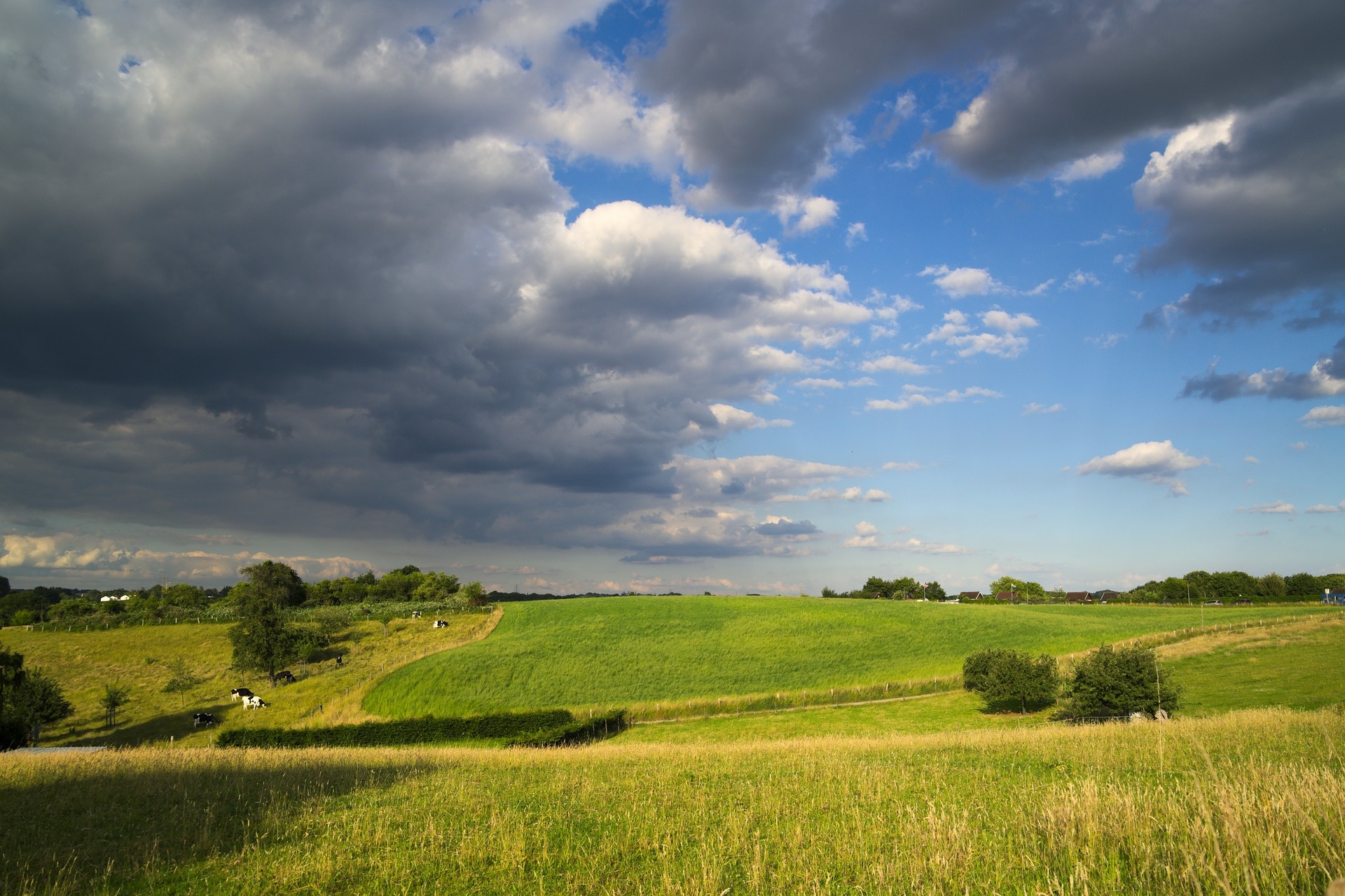 weather-2197685_1920.jpg