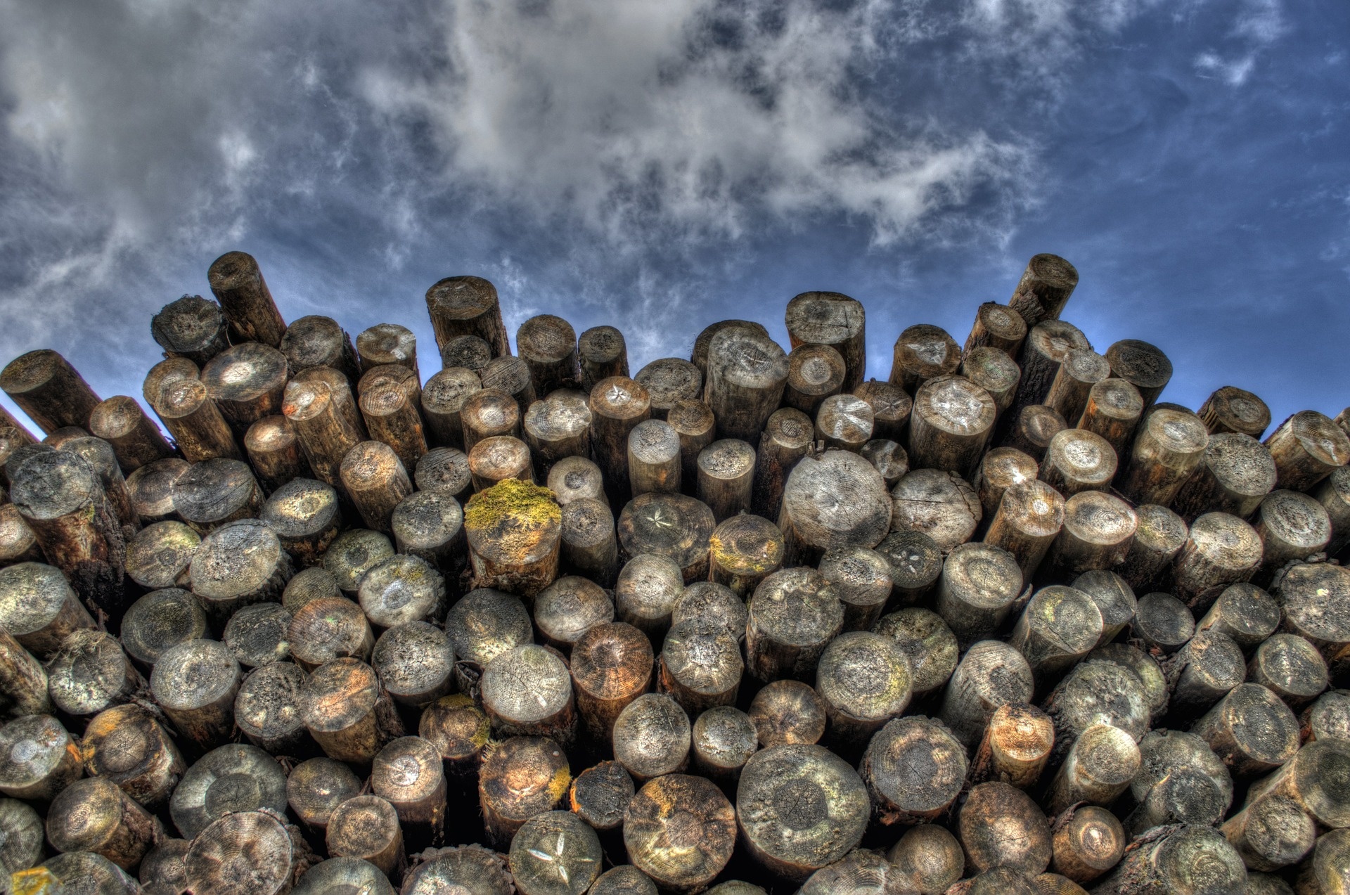 logs-498538_1920.jpg
