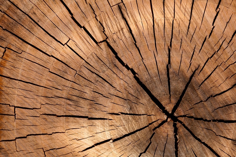 background-84678_960_720.jpg