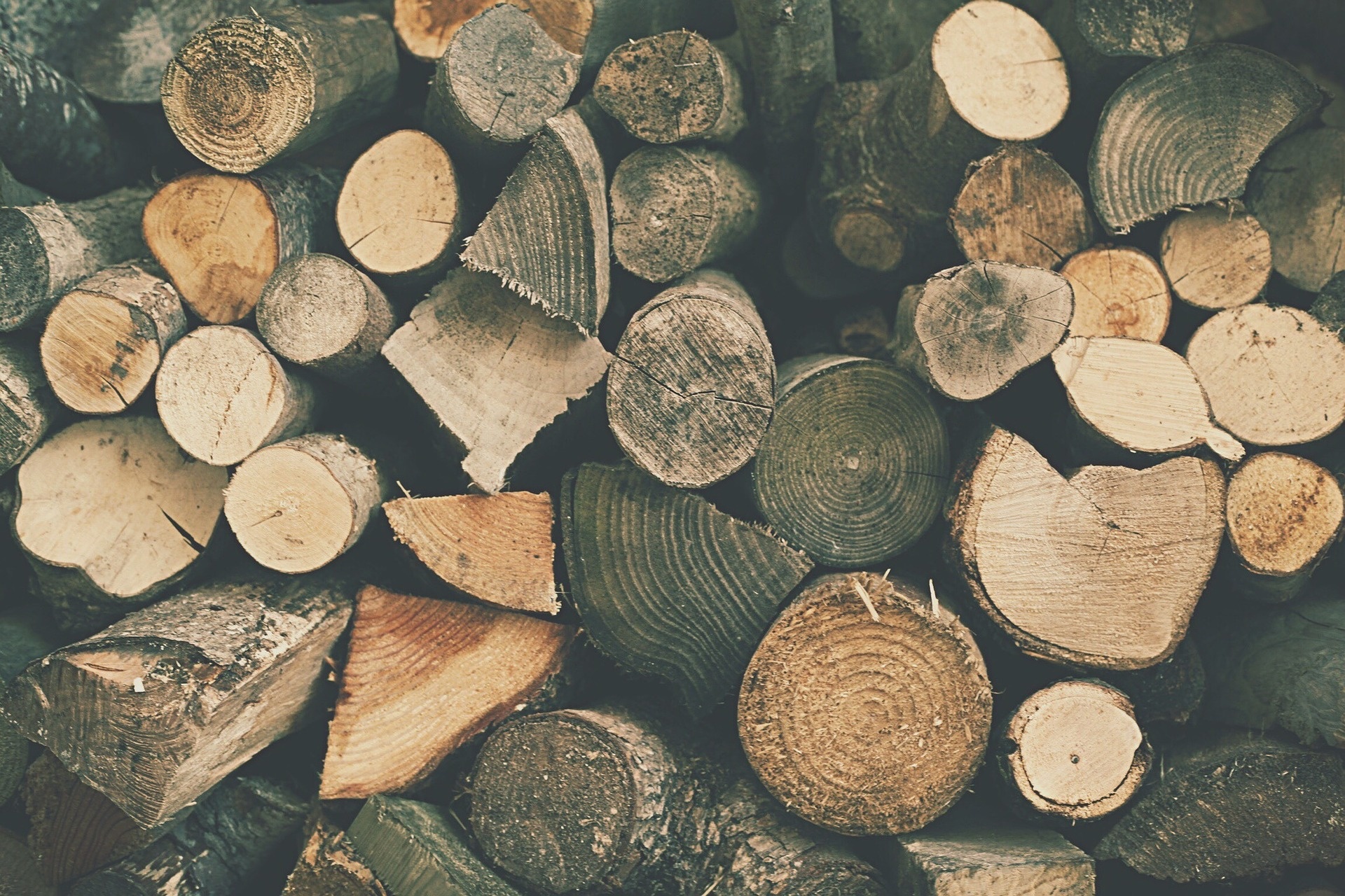 wood-731389_1920.jpg