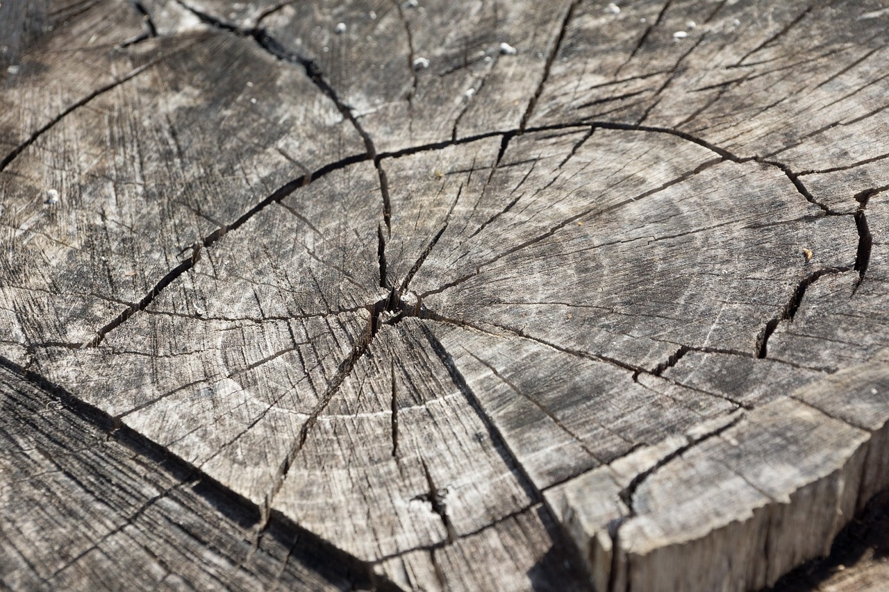 wood-366735_1280.jpg