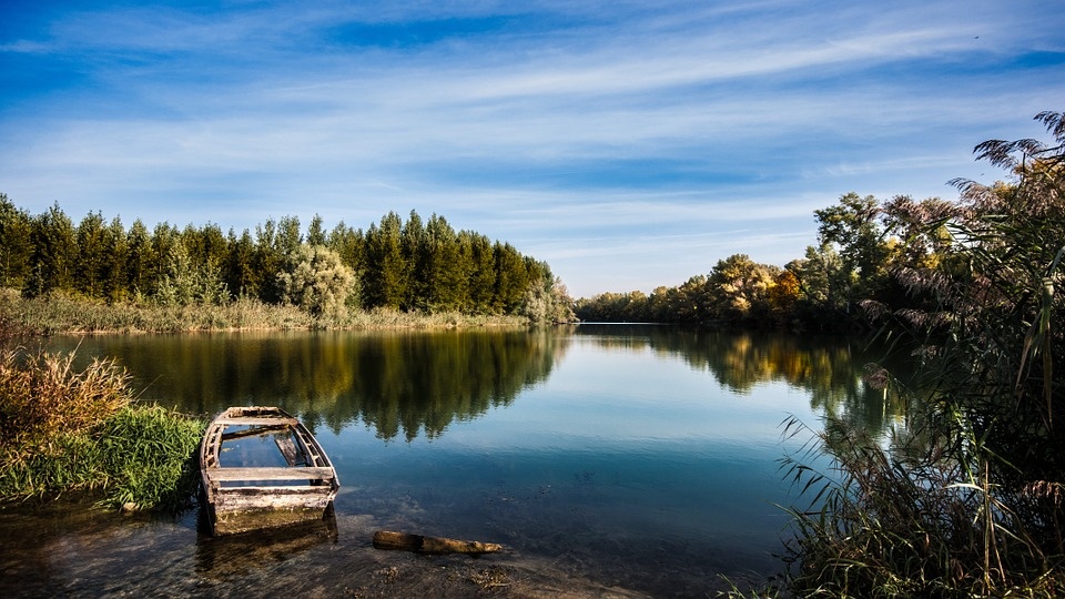 autumn-972708_960_720.jpg