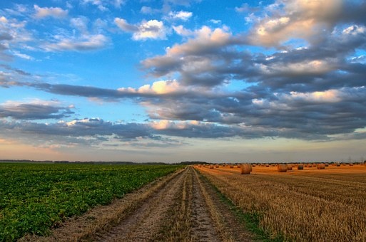 agricoltura.jpg