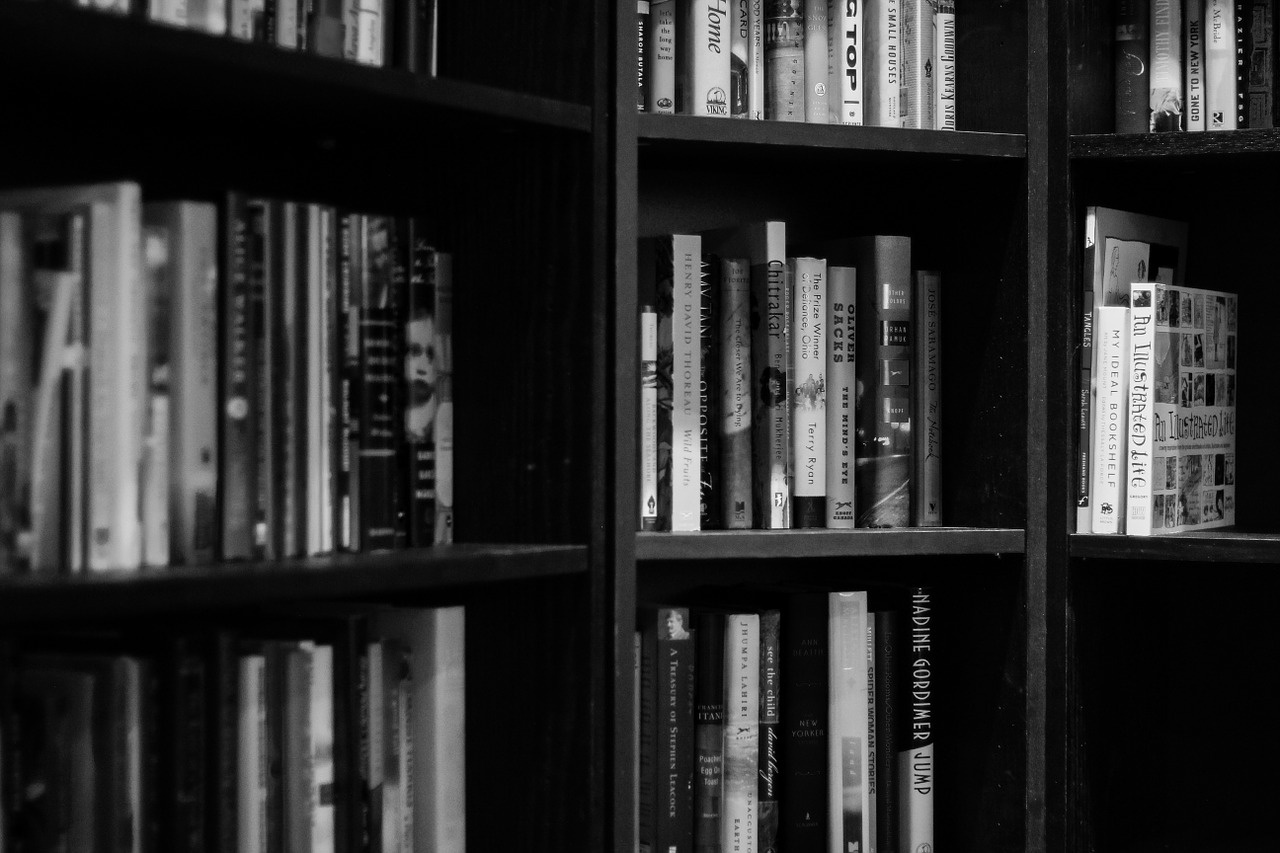 bookshelves-932780_1280.jpg