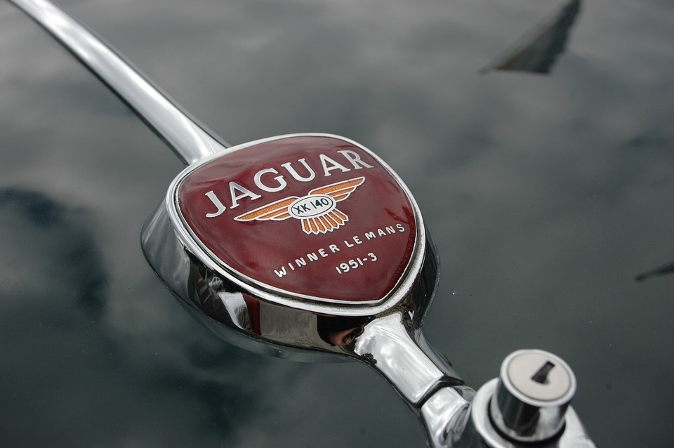jaguar-2499947_960_720.jpg