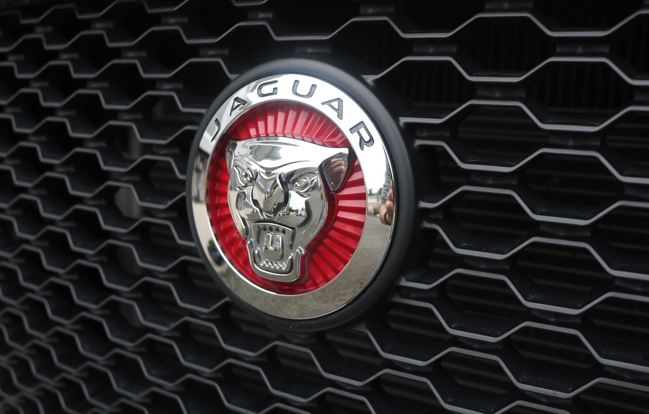 emblem-2723743_1280.jpg