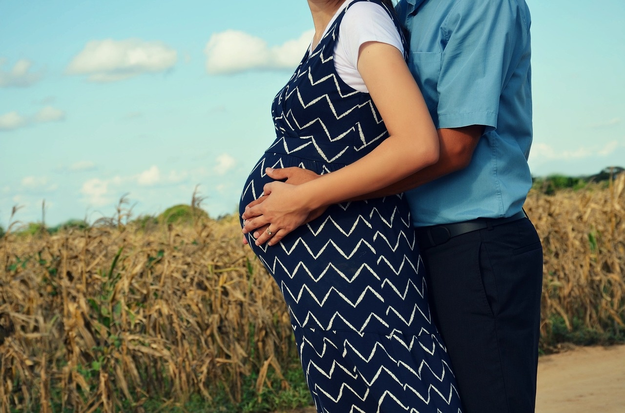 pregnancy-2792308_1280.jpg