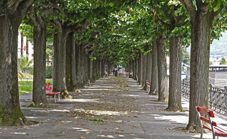 lugano-1738354_960_720.jpg