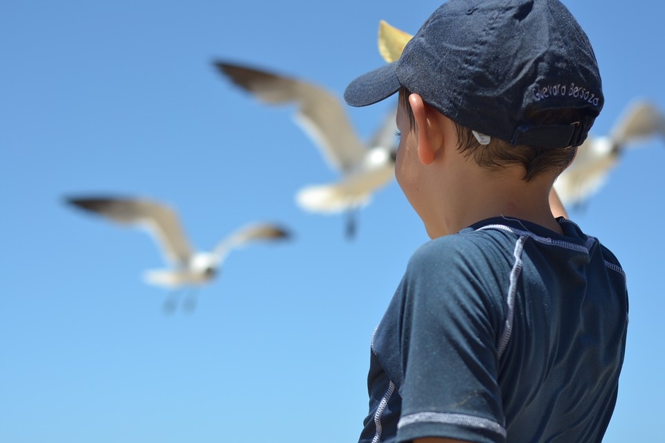 kids-playing-863613_960_720.jpg