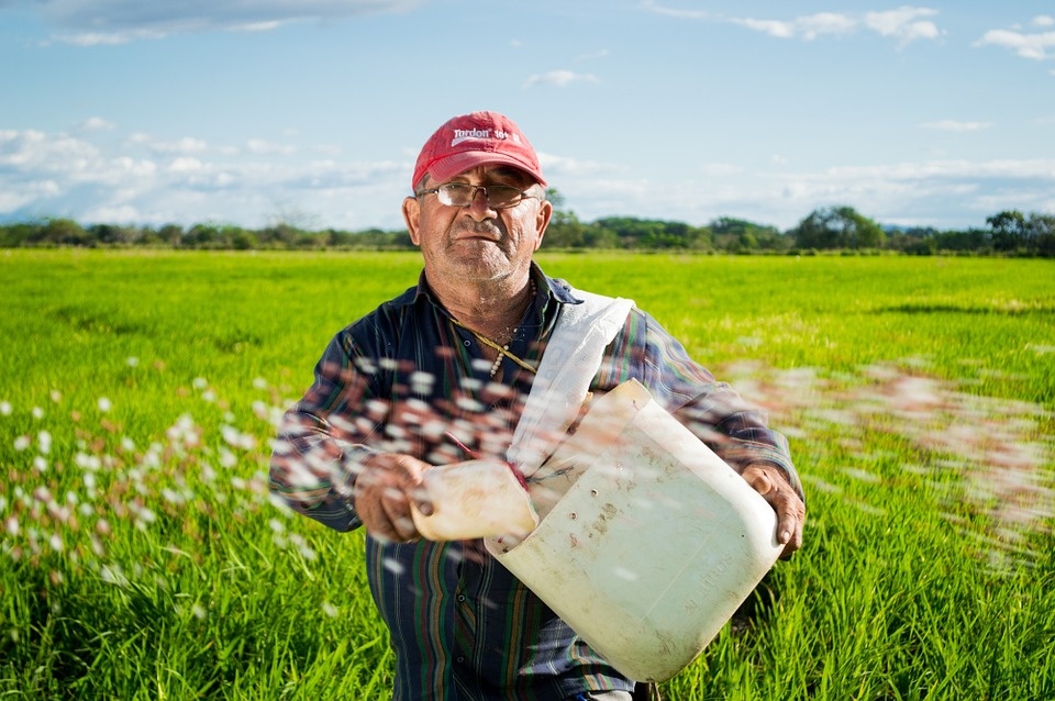 peasant-452904_960_720.jpg