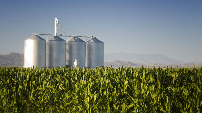 biofuel.jpg