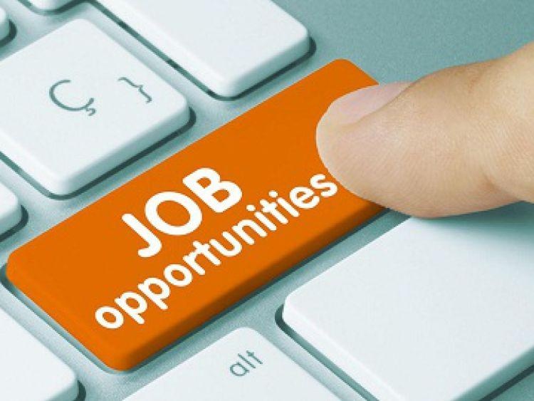 jobs.jpg