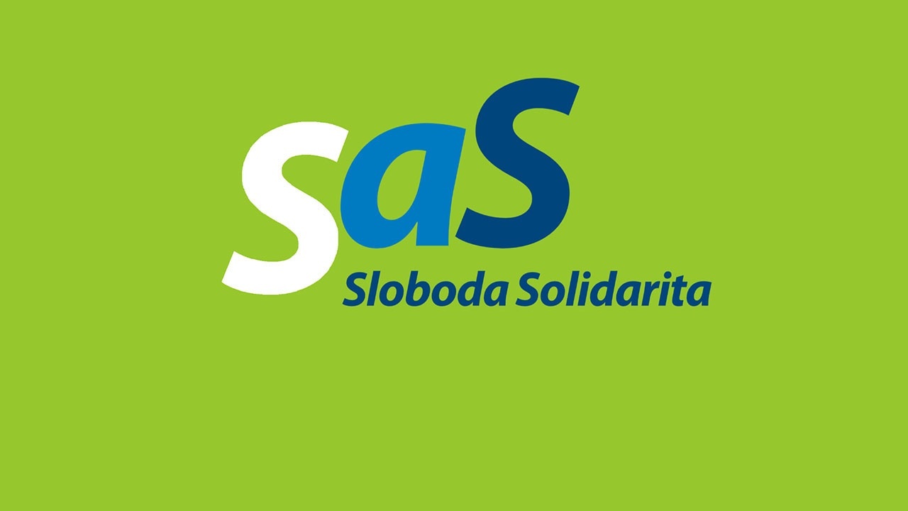 SaS.jpg