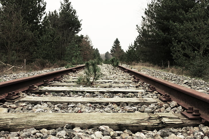 rail.jpg