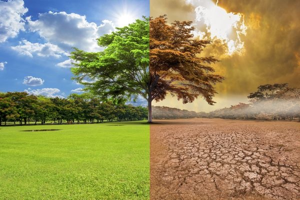 climate.jpg