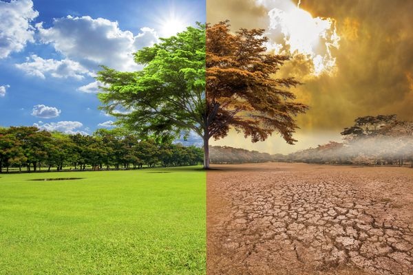 climate.jpg