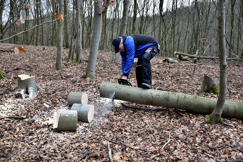 27.03_wood.jpg