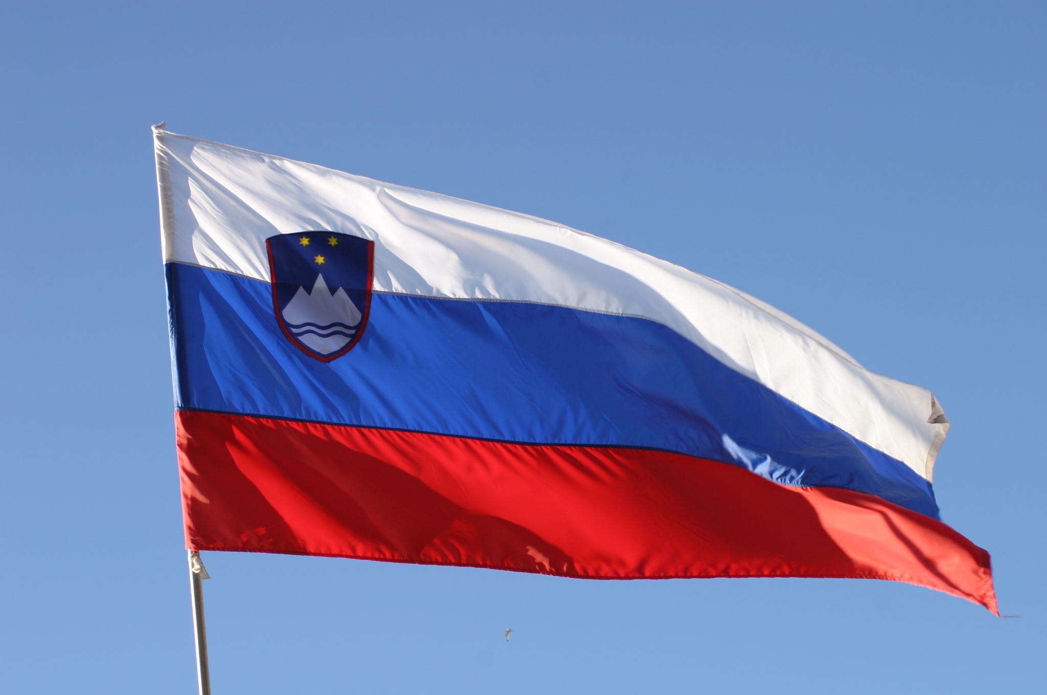 Slovenska_zastava.jpg