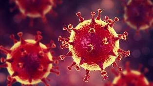 coronavirus2.jpg