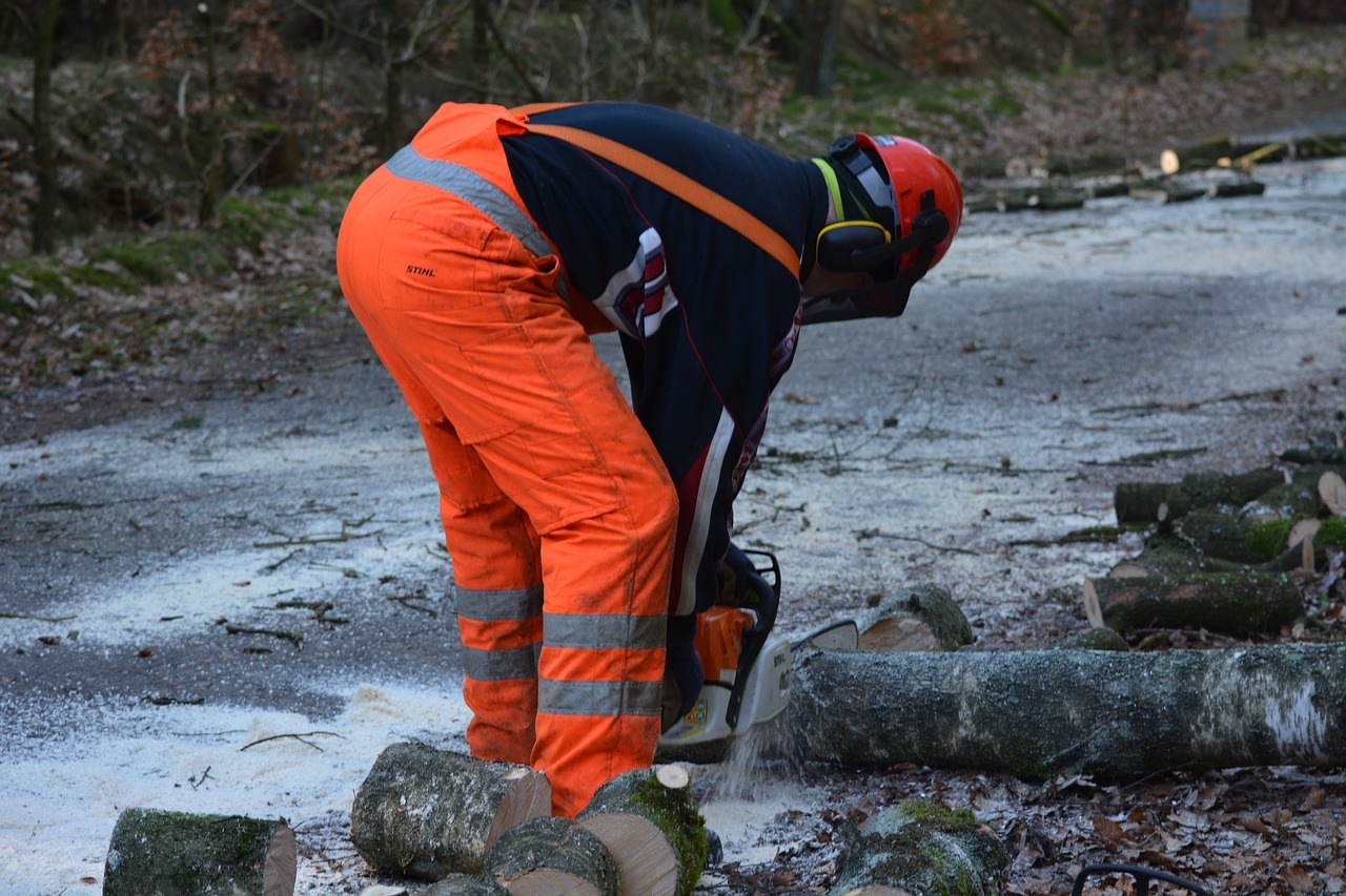 work-2018661_1280.jpg
