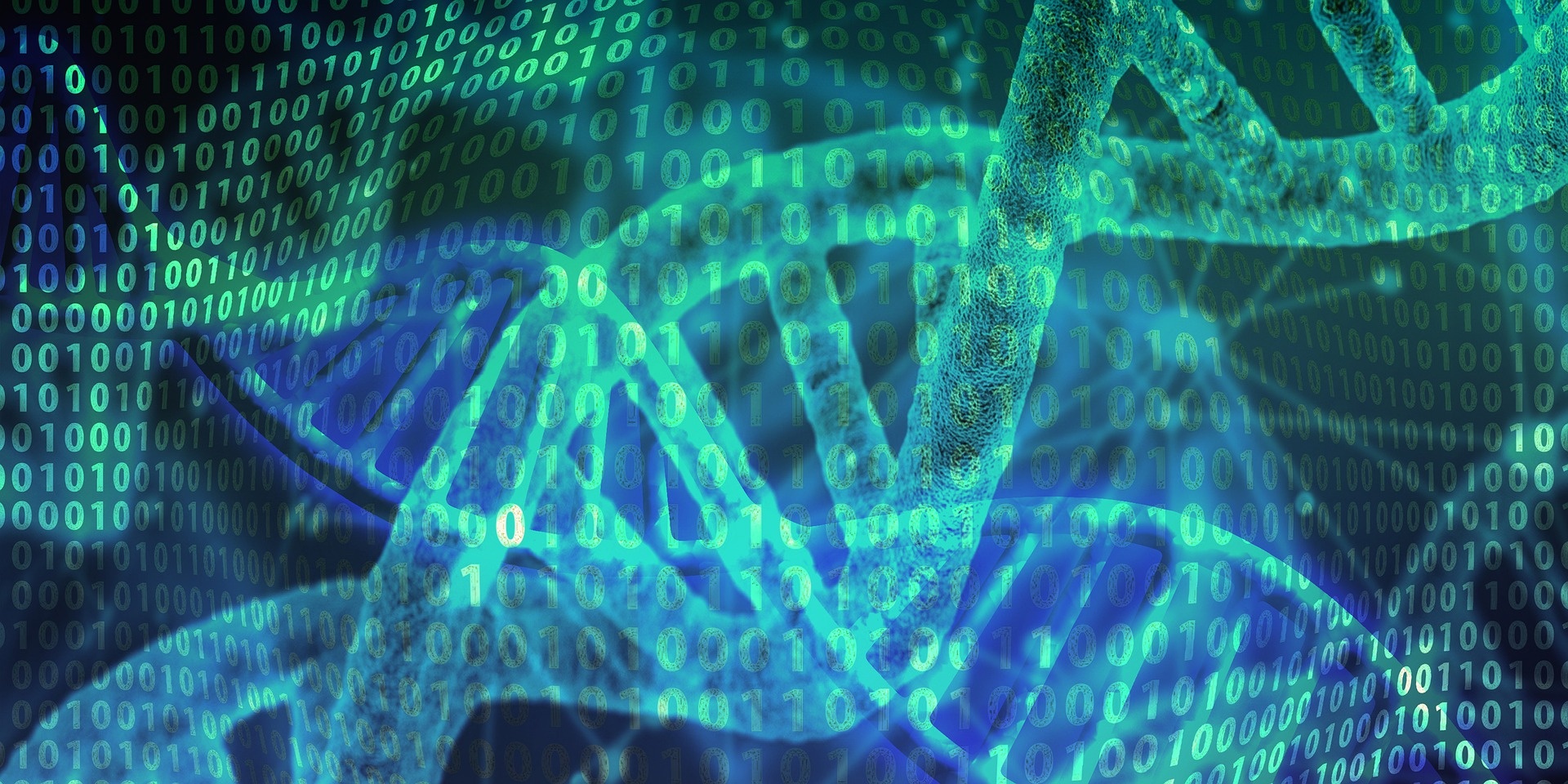 dna-4478127_1920.jpg