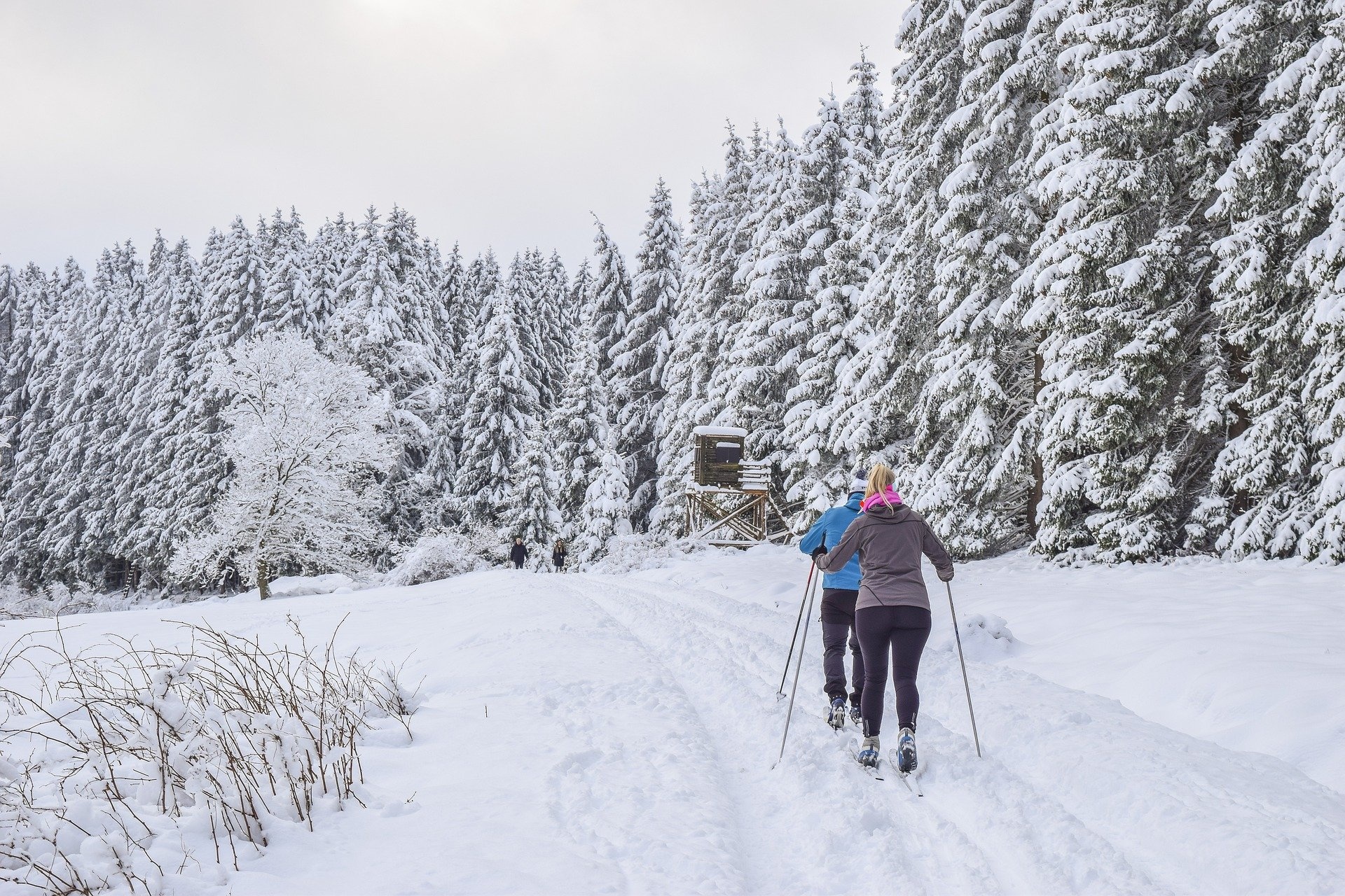 cross-country-skiing-5908416_1920.jpg