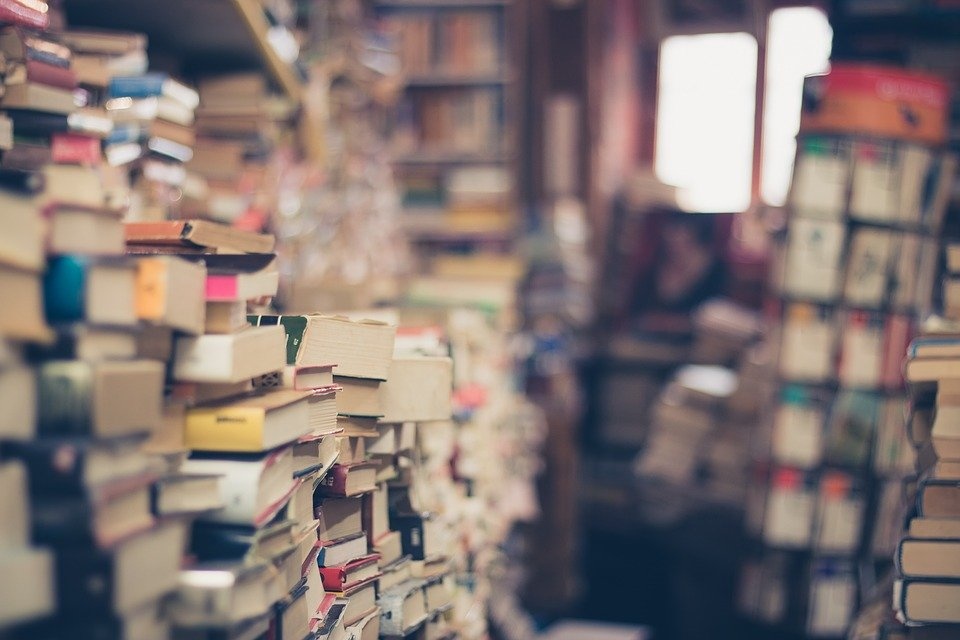 books-1163695_960_720.jpg