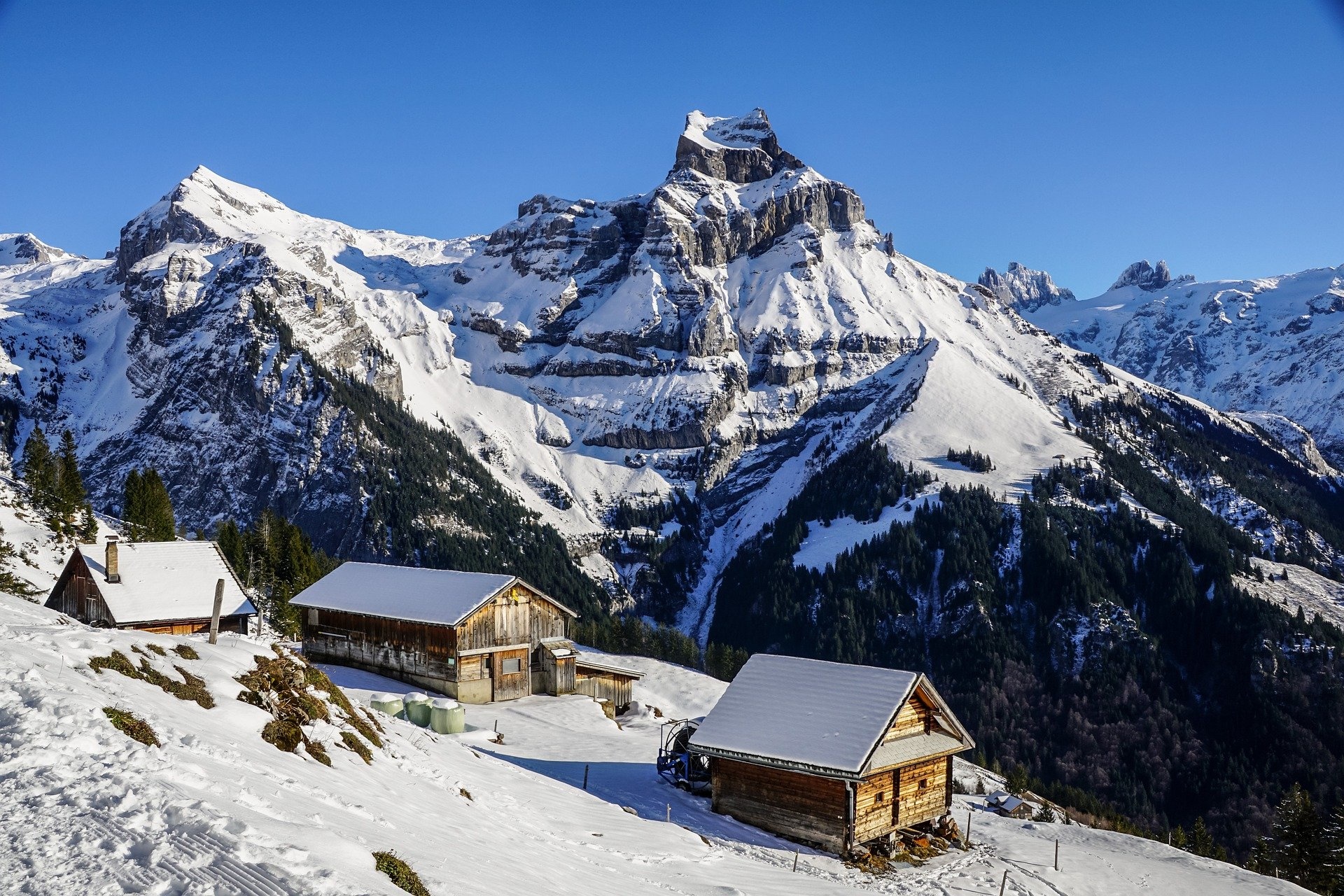 winter-4727668_1920.jpg